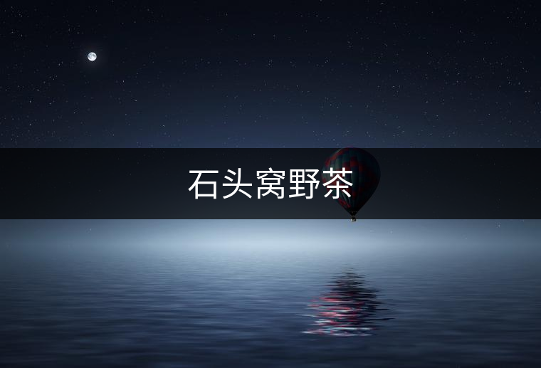 石頭窩野茶