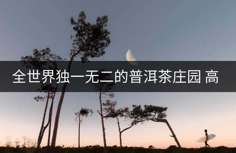 全世界獨一無二的普洱茶莊園 高大上且美出新高度