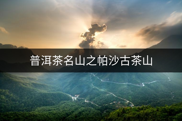 普洱茶名山之帕沙古茶山