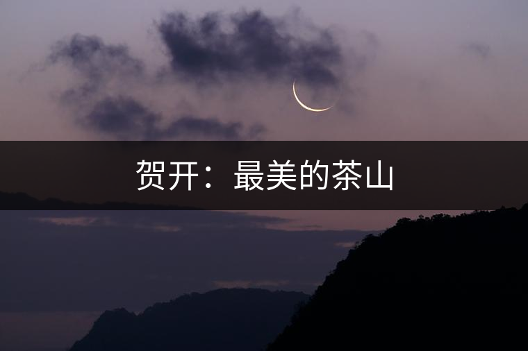 賀開(kāi):最美的茶山 賀開(kāi):最美的茶山