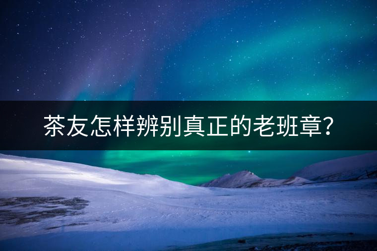 茶友怎樣辨別真正的老班章？
