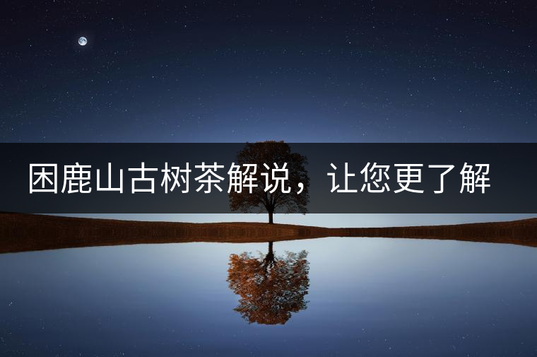 困鹿山古樹茶解說，讓您更了解古樹貢茶