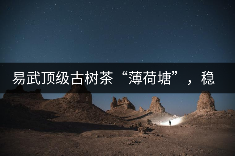 易武頂級古樹茶“薄荷塘”，穩(wěn)坐易武第一把交椅