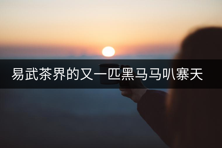 易武茶界的又一匹黑馬馬叭寨天門山高桿古樹茶特點(diǎn) 易武茶界的又一匹黑馬馬叭寨天門山高桿古樹茶特點(diǎn)