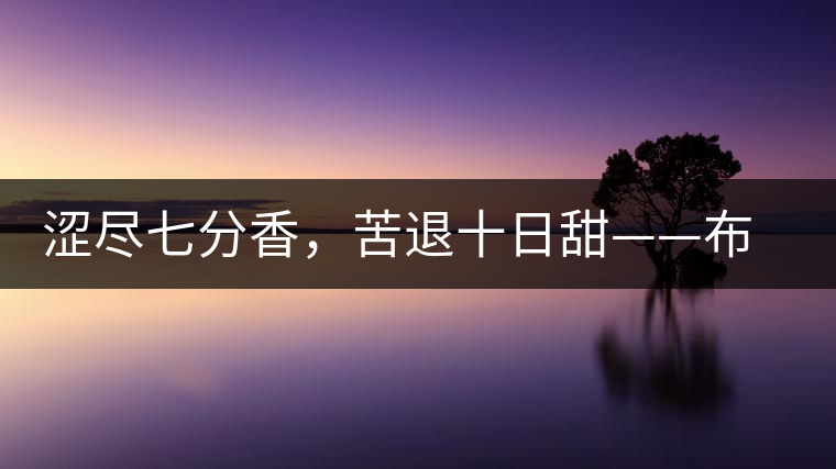 澀盡七分香，苦退十日甜——布朗山千年古寨曼新龍
