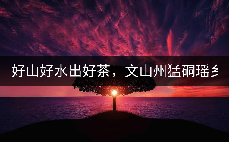 好山好水出好茶，文山州猛硐瑤鄉(xiāng)茶！