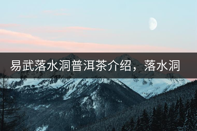 易武落水洞普洱茶介紹，落水洞古樹茶口感特點(diǎn)