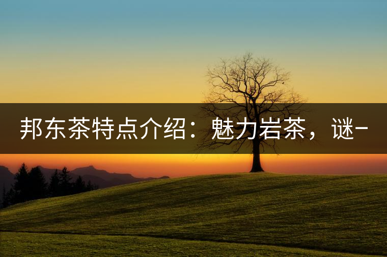 邦東茶特點(diǎn)介紹：魅力巖茶，謎一樣的邦東！