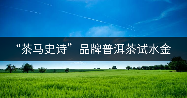 “茶馬史詩(shī)”品牌普洱茶試水金融市場(chǎng)