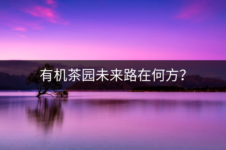 有機(jī)茶園未來(lái)路在何方？