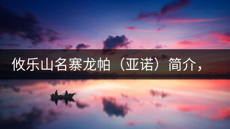 攸樂山名寨龍帕（亞諾）簡介，亞諾古樹茶特點