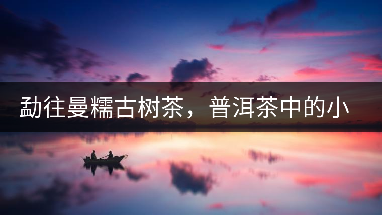 勐往曼糯古樹茶，普洱茶中的小班章