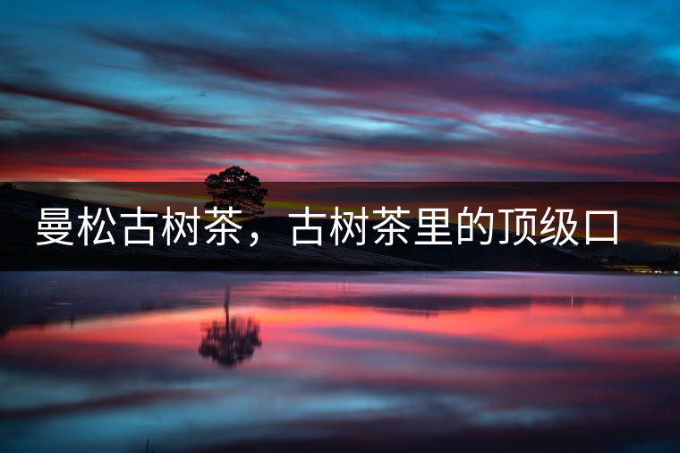 曼松古樹茶，古樹茶里的頂級(jí)口感
