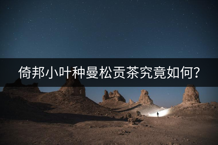 倚邦小葉種曼松貢茶究竟如何？