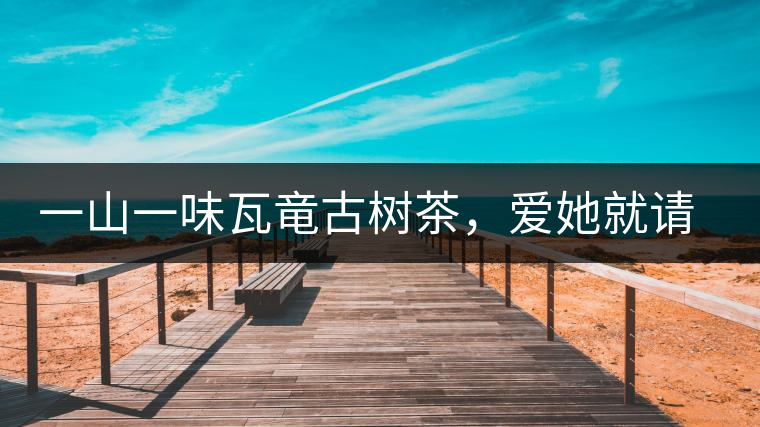 一山一味瓦竜古樹茶，愛(ài)她就請(qǐng)尊重她