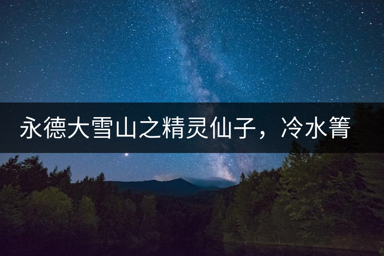 永德大雪山之精靈仙子，冷水箐古樹普洱茶
