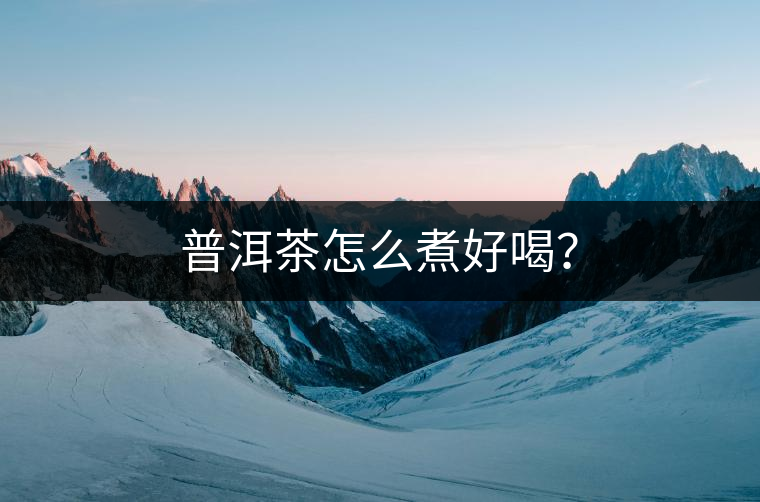 普洱茶怎么煮好喝？