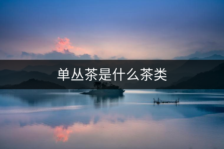 單叢茶是什么茶類
