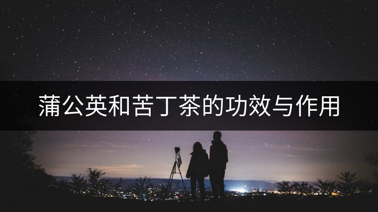 蒲公英和苦丁茶的功效與作用
