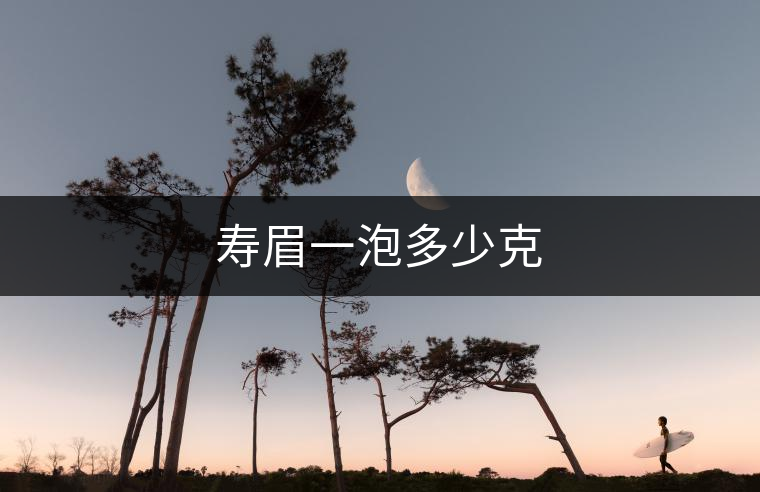 壽眉一泡多少克