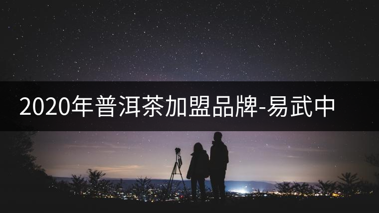 2020年普洱茶加盟品牌-易武中聘號