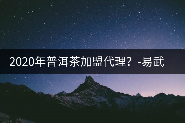 2020年普洱茶加盟代理？-易武中聘號