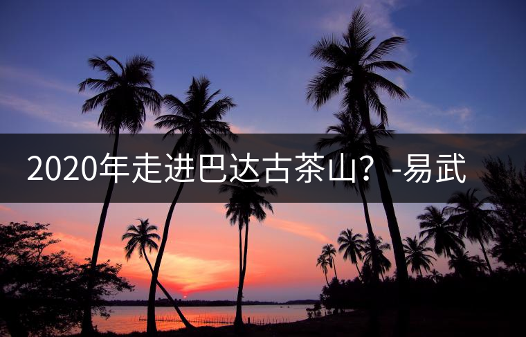 2020年走進巴達古茶山？-易武中聘號