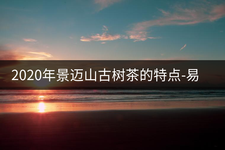 2020年景邁山古樹茶的特點-易武中聘號