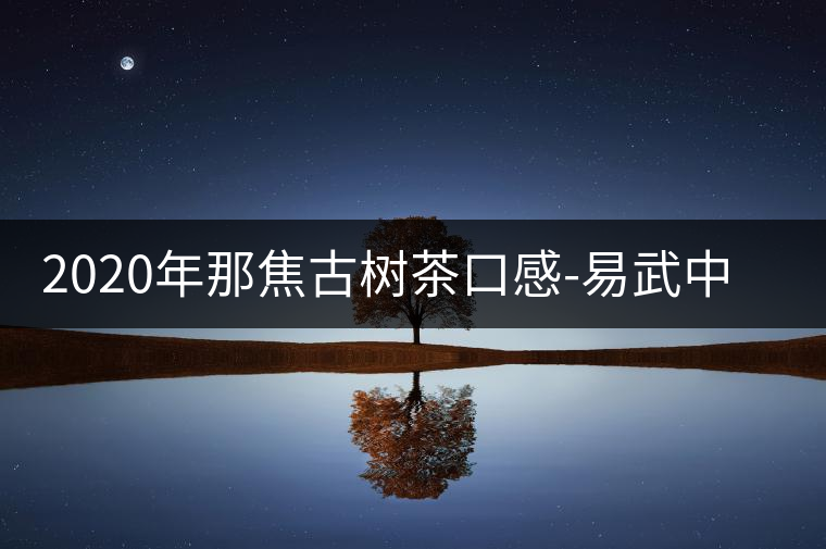 2020年那焦古樹茶口感-易武中聘號(hào)