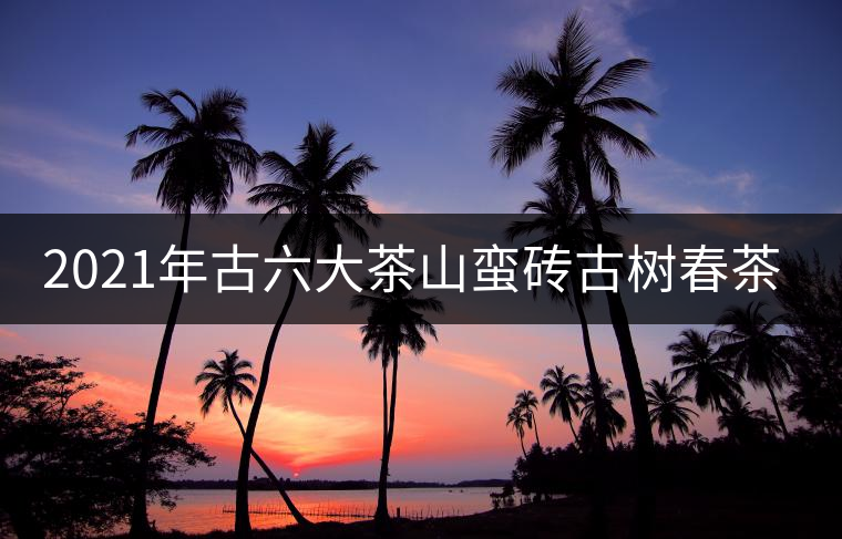 2021年古六大茶山蠻磚古樹(shù)春茶口感特點(diǎn) 2021年古六大茶山蠻磚古樹(shù)春茶口感特點(diǎn)
