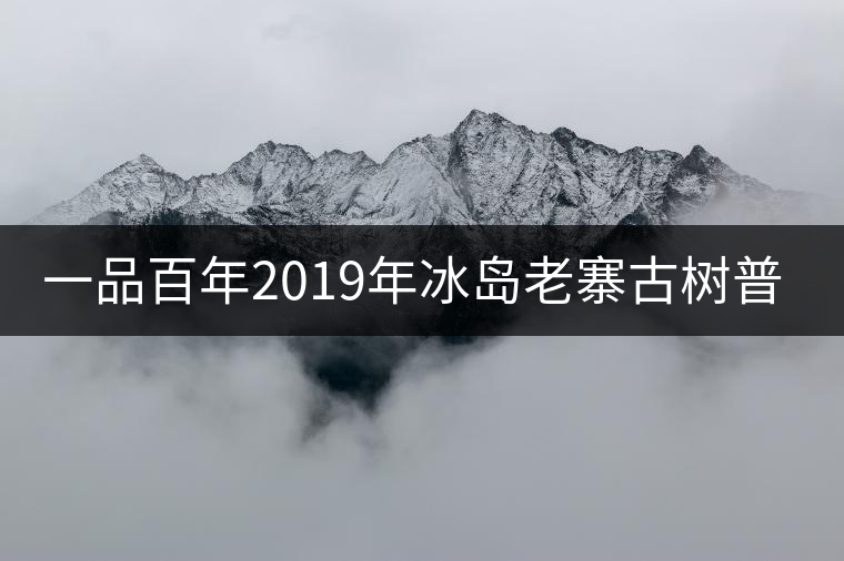一品百年2019年冰島老寨古樹普洱茶生茶好喝嗎？