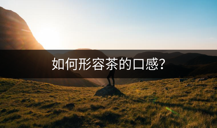如何形容茶的口感？