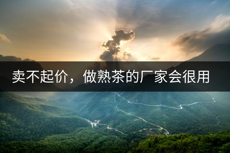 賣(mài)不起價(jià)，做熟茶的廠家會(huì)很用心生產(chǎn)熟茶嗎？