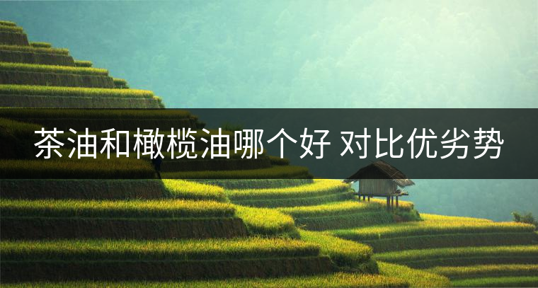 茶油和橄欖油哪個好 對比優(yōu)劣勢