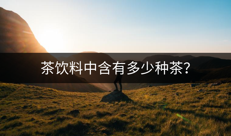 茶飲料中含有多少種茶？