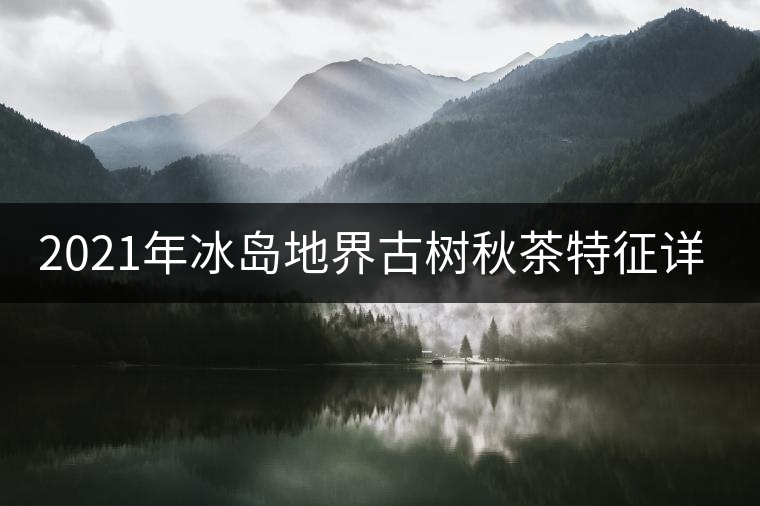 2021年冰島地界古樹秋茶特征詳解！