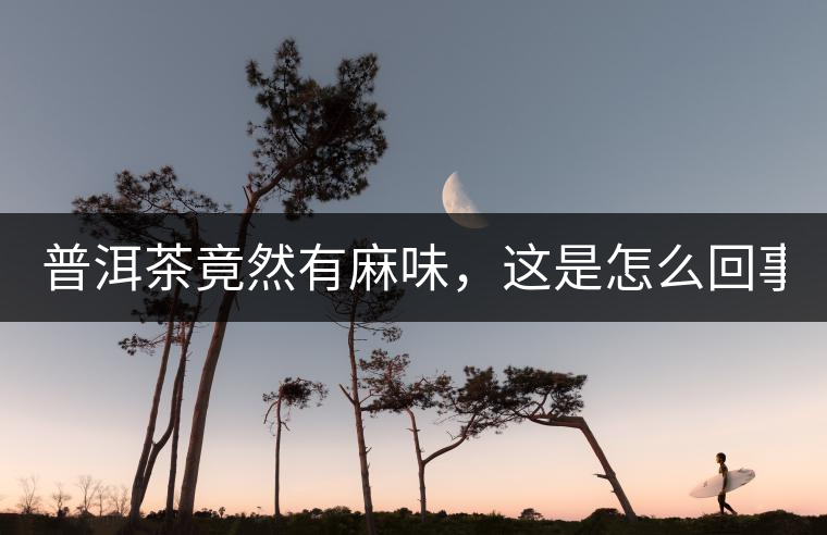 普洱茶竟然有麻味，這是怎么回事？