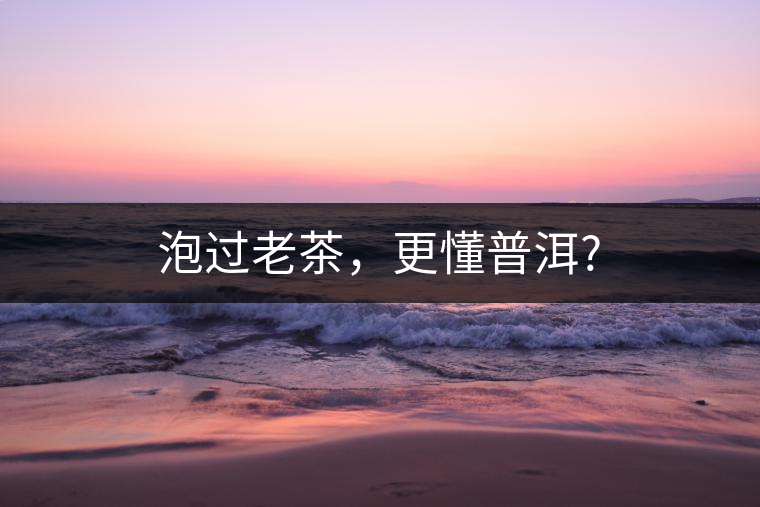 泡過老茶，更懂普洱?