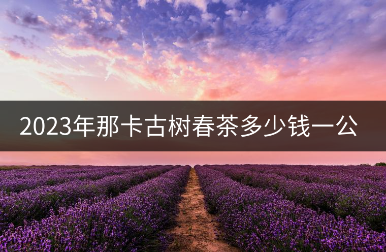 2023年那卡古樹春茶多少錢一公斤？