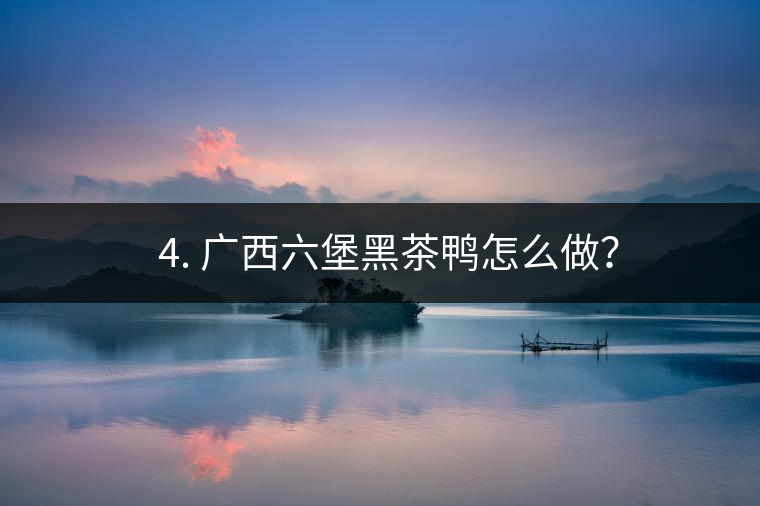 ? 4. 廣西六堡黑茶鴨怎么做？