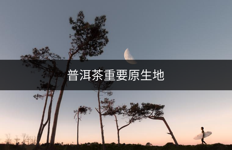 普洱茶重要原生地 普洱茶重要原生地