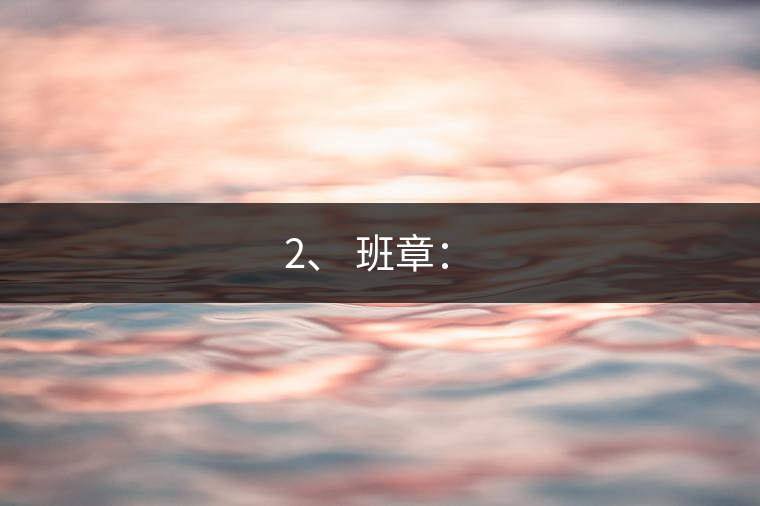 2、 班章：?