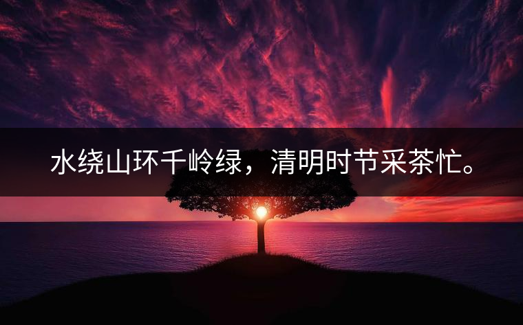 水繞山環(huán)千嶺綠，清明時節(jié)采茶忙。