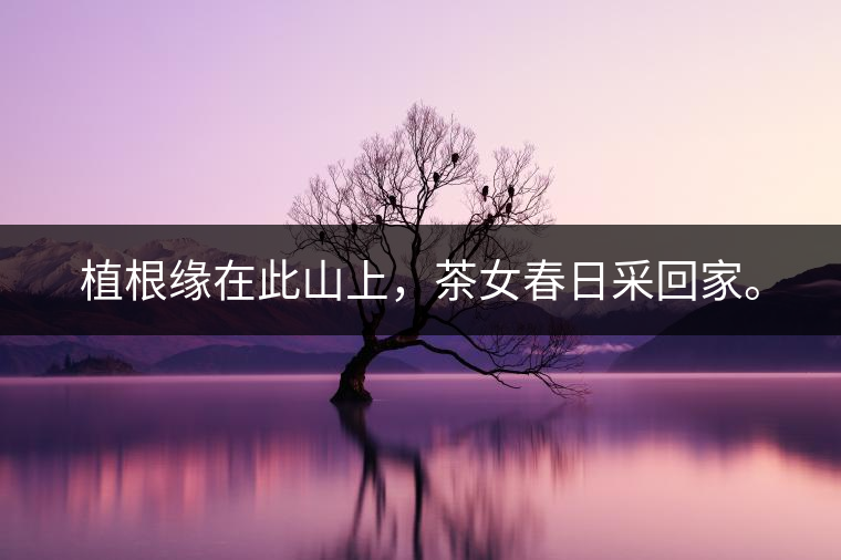 良種育高產，園林繞山中。