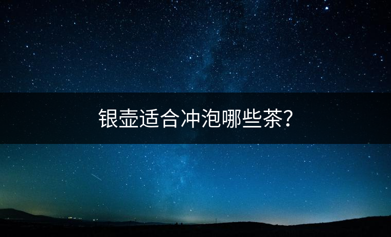 銀壺適合沖泡哪些茶？