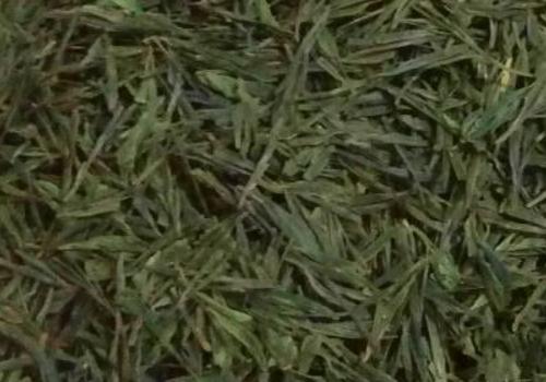 什么是海青茶？沖泡手法詳細(xì)教學(xué)！