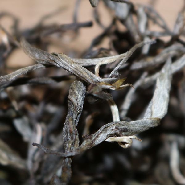 2021年帕沙古樹秋茶，你了解多少？