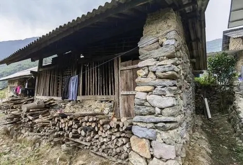 2022年景谷黃草壩古樹春茶特點(diǎn)是什么？