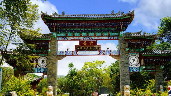 2022年易武正山在哪？易武正山是什么意思？