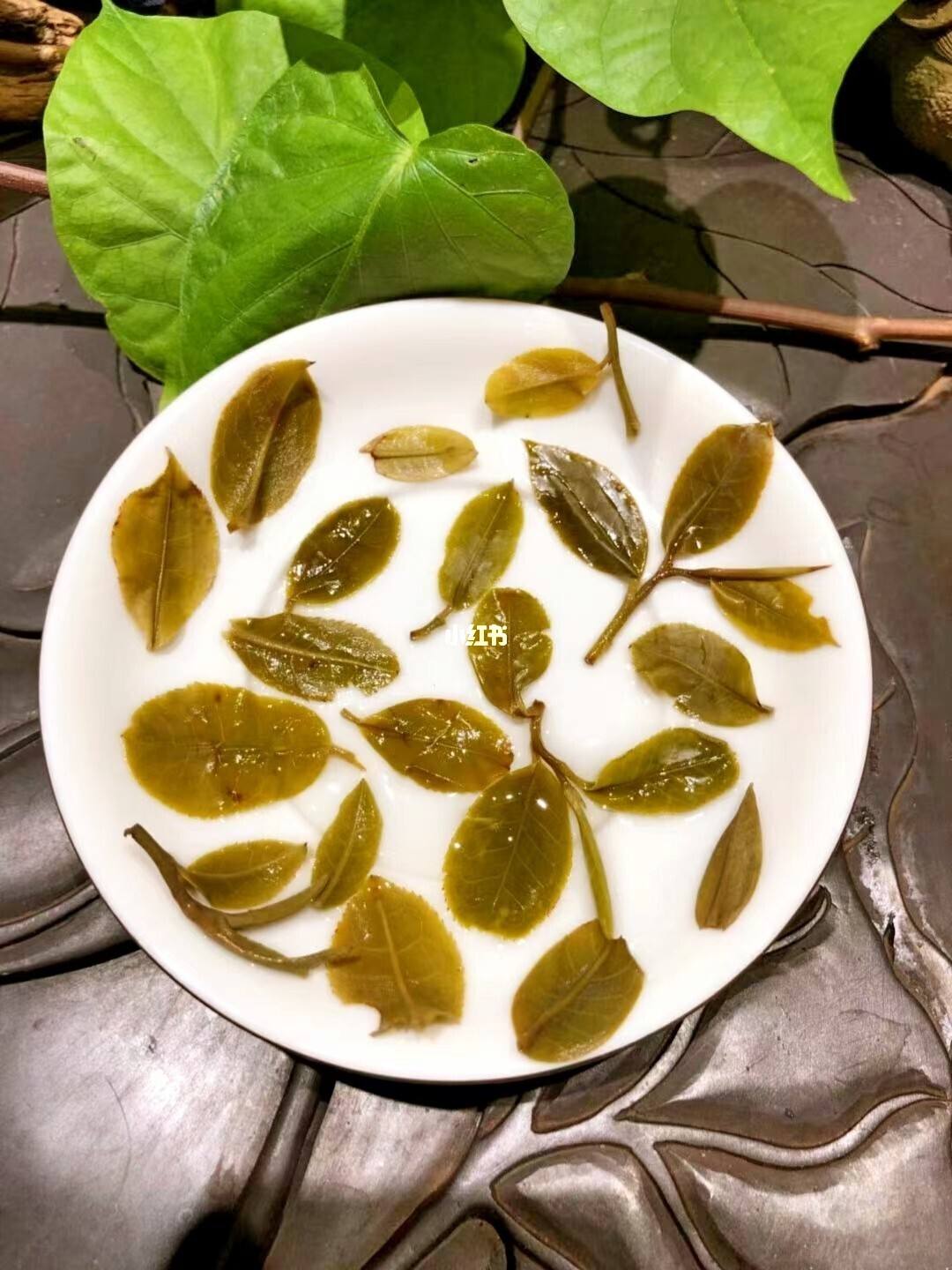 2022年倚邦貓耳朵古樹春茶多少錢一公斤？